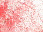 Baby Pink Mongolian Sheepskin