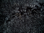 Black Mongolian Sheepskin
