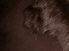 Chocolate Brown tone tone Toscana