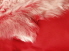 Coral Red Toscana Sheepskin