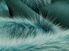 Peacock Blue Toscana Lambskin Suede Finish