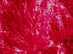 Red Mongolian Sheepskin