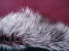 Wine Suede Finish Toscana Lambskin